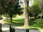  petit parc